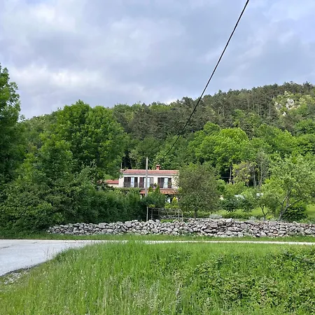 Vista * Lupoglav (Istria)