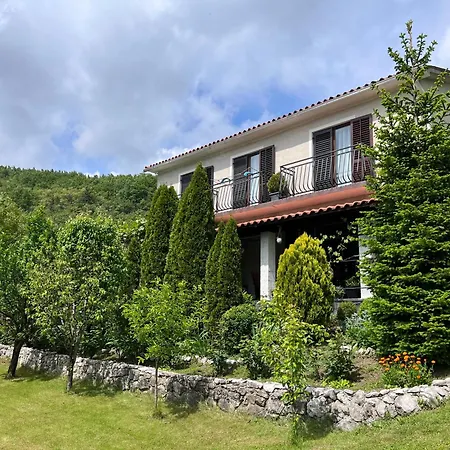 Vista