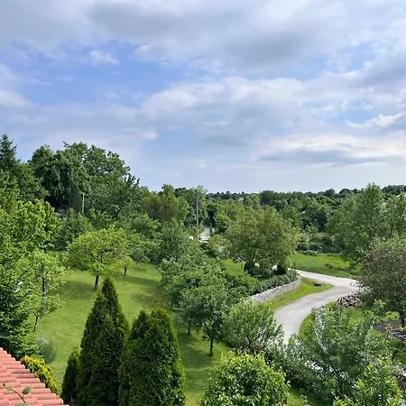 Vista *