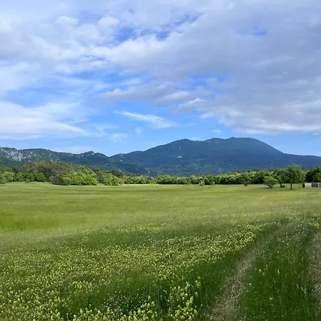 Vista