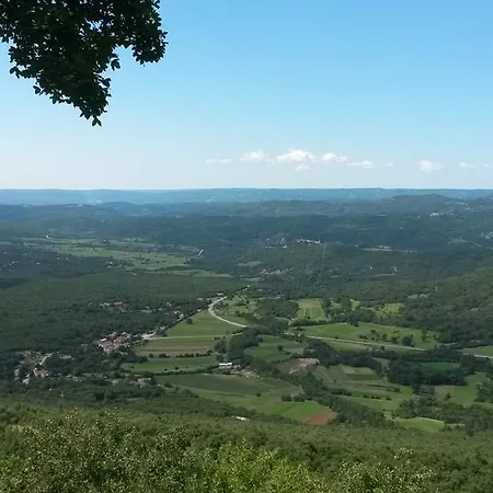 Vista