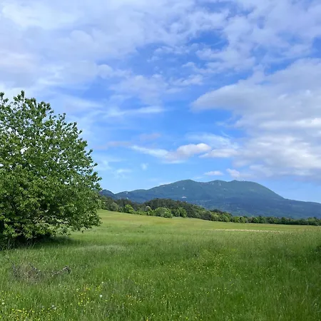Vista アパート